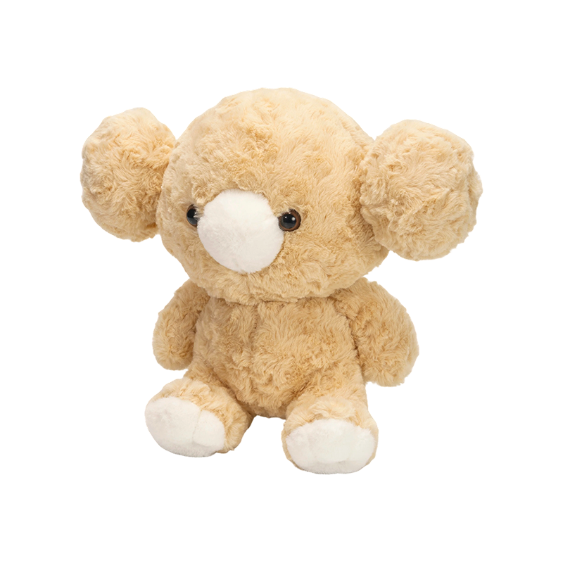 Cute saginati sedens koala gausapati nugas
