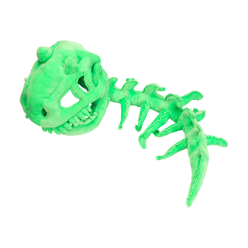 Viridis puer mediocri dinosaurum sceletum gausapo petasum
