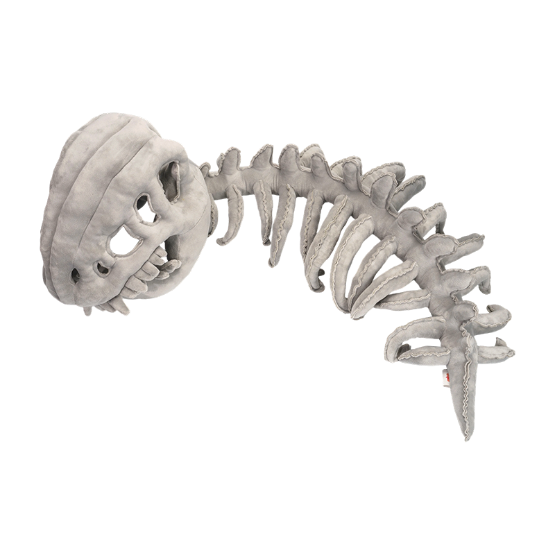 Cinereo adultus amplitudo dinosaurum sceletum gausapo petasum